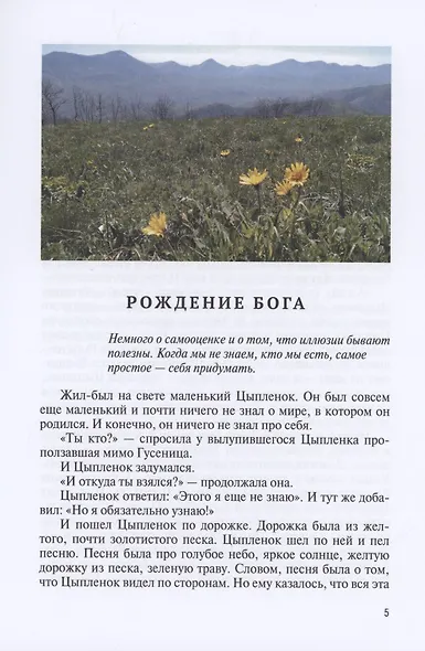Рождение бога. Терапевтические сказки для взрослых и детей - фото 3