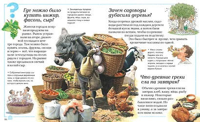 Что, зачем и почему? - фото 8
