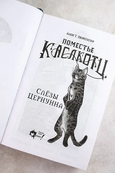 Поместье Каслкотц. Слёзы Цернунна - фото 11
