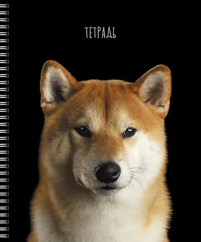 Тетрадь общая «Selfie dog» в ассортименте, 48 листов в клетку, A5 - Listoff - фото 3