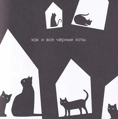 Черный кот, белый кот - фото 3