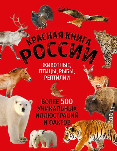 Красная книга России. Большой формат. Более 500 уникальных иллюстраций и фактов (новое издание) (основной) - фото 1