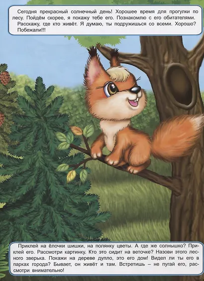 Мои лесные прогулки. Книжка с многоразовыми наклейками - фото 2