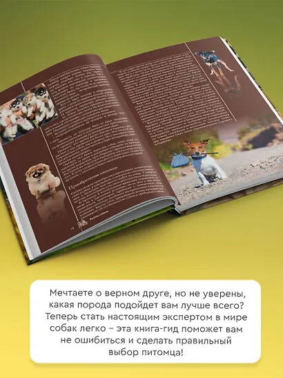 Собаки. Популярный иллюстрированный гид - фото 4
