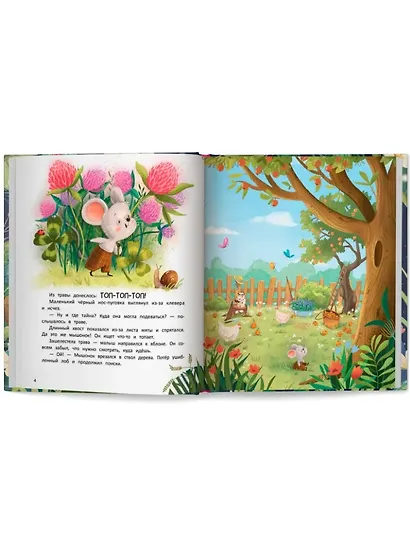 Топ-Топ и таинственный сад - фото 3