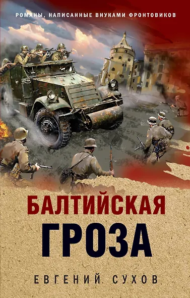 Балтийская гроза - фото 1
