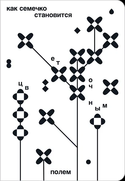 Как семечко становится цветочным полем - фото 1