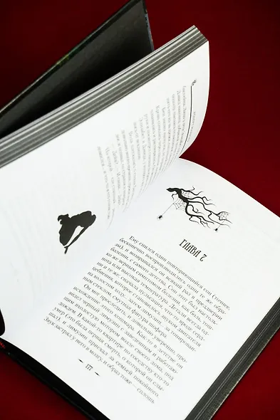 Сожженные приношения - фото 15