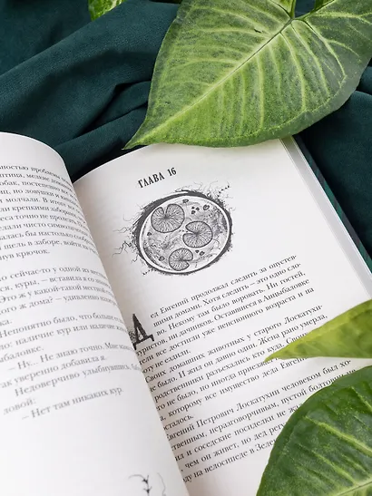 Болотница - фото 7