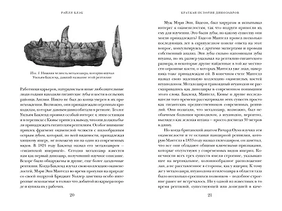 Перья, кровь и миллионы лет: Полная история динозавров - фото 11
