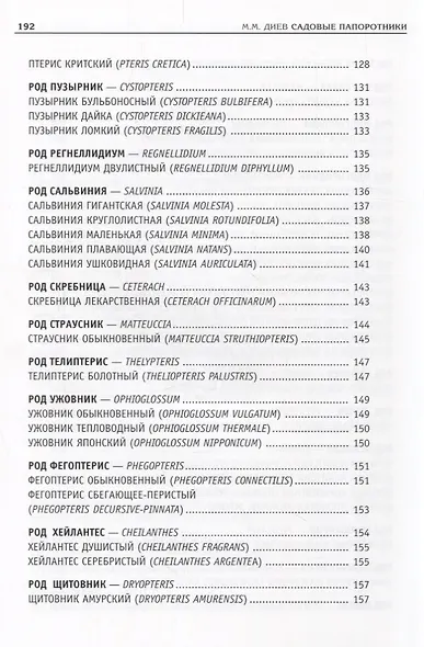 Садовые папоротники - фото 4