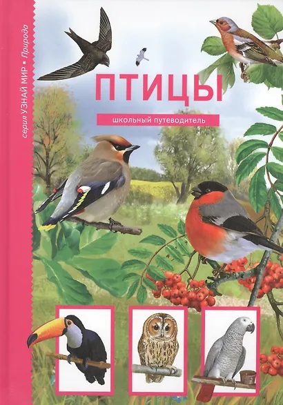 Птицы - фото 2