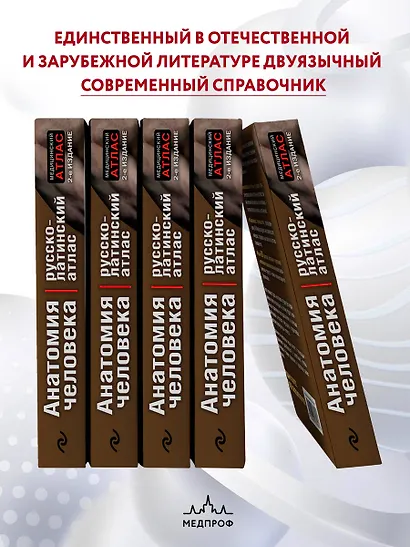 Анатомия человека:рус-лат.атл.2-е изд - фото 6
