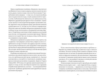 Погребальные обряды и культ предков. От завета Одина и некромантии до упырей и похорон Ярилы - фото 14