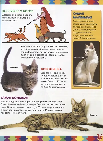 Кошки. Детская энциклопедия - фото 3