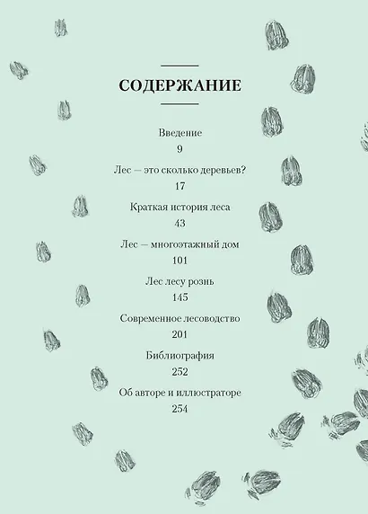 Лес. Как устроена лесная экосистема - фото 2