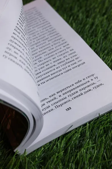 Школа для дураков - фото 13