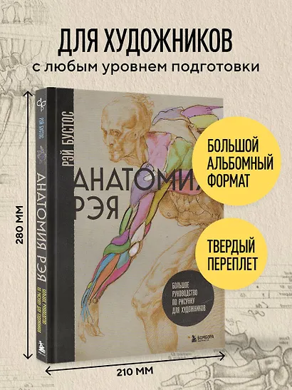 Анатомия Рэя. Большое руководство по рисунку для художников - фото 8