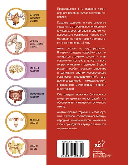 Атлас анатомии человека - фото 2