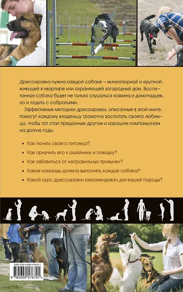 Дрессировка и воспитание собаки - фото 2