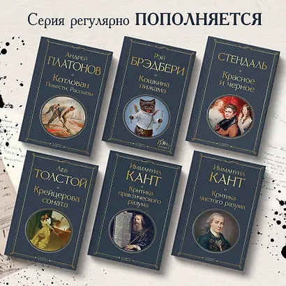 Крейцерова соната: роман - фото 5
