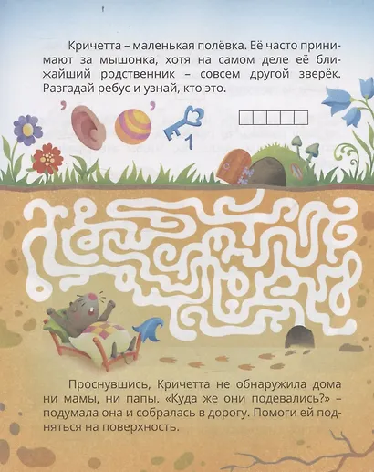 Логические игры и задачи. Путешествие с мышкой Кричеттой: для детей от 8 лет - фото 3