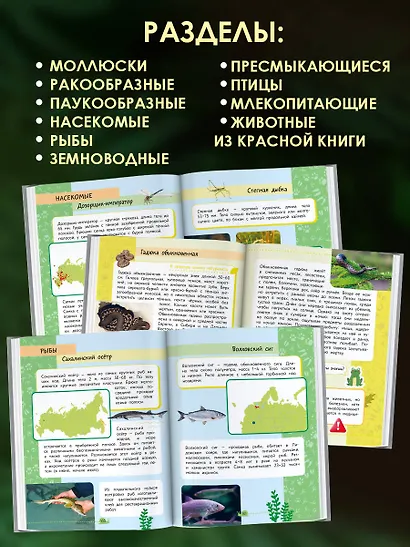 Окружающий мир. Животные - фото 7