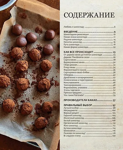 Шоколад. Книга настоящего шокоголика - фото 2