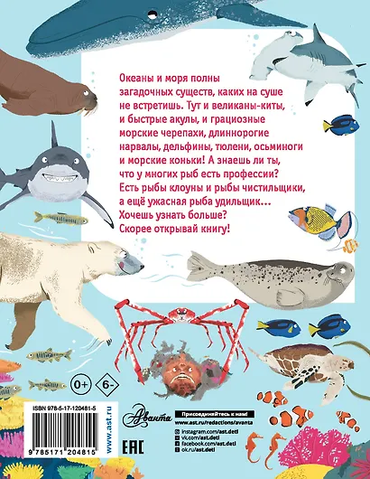 Кто живёт на дне морском? - фото 2