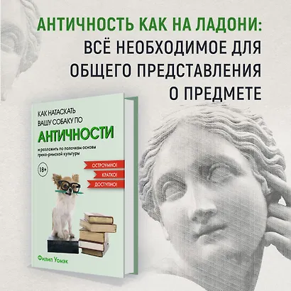 Как натаскать вашу собаку по АНТИЧНОСТИ и разложить по полочкам основы греко-римской культуры - фото 3