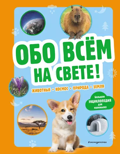 Обо всем на свете! Большая энциклопедия для маленьких - фото 1