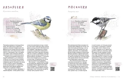 Птицы в городе. Где найти и как узнать - фото 4