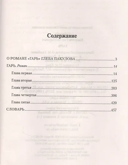 Гарь. Роман - фото 2