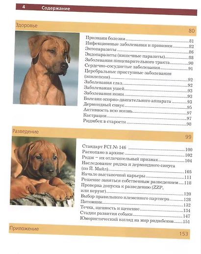 Родезийский риджбек. (мир породы) - фото 3