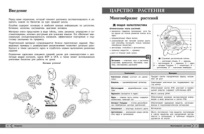 Биология - фото 5