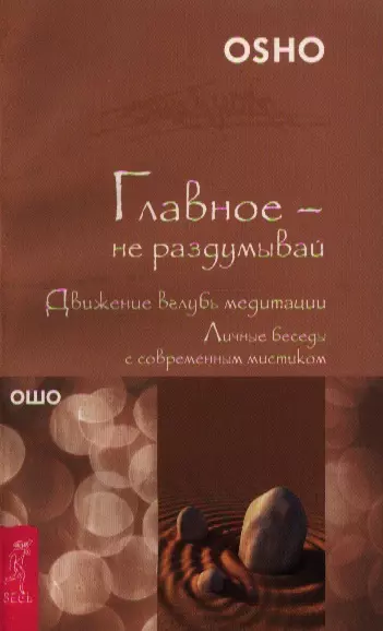 Главное - не раздумывай. Движение вглубь медитации. Личные беседы с современным мистиком (1624) - фото 1