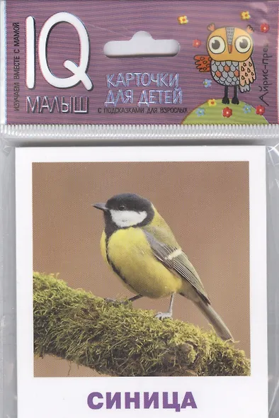 Птицы. Карточки для детей с подсказками для взрослых - фото 1