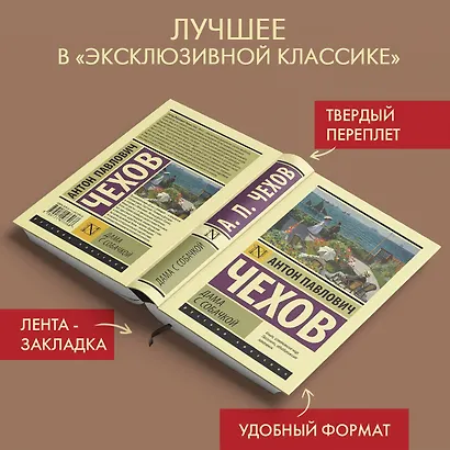 Дама с собачкой - фото 3