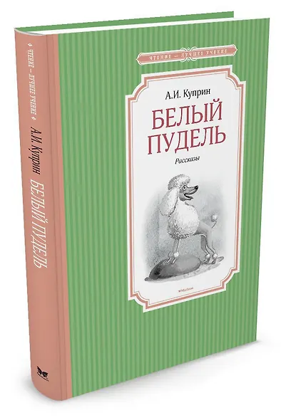 Белый пудель - фото 2