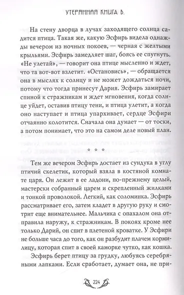 Утерянная Книга В. - фото 7