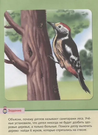 Малышам о птицах - фото 4