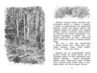 Лесные тайнички - фото 4