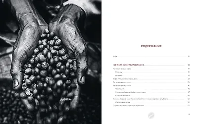 Философия кофе. От зерна до идеального напитка - фото 10