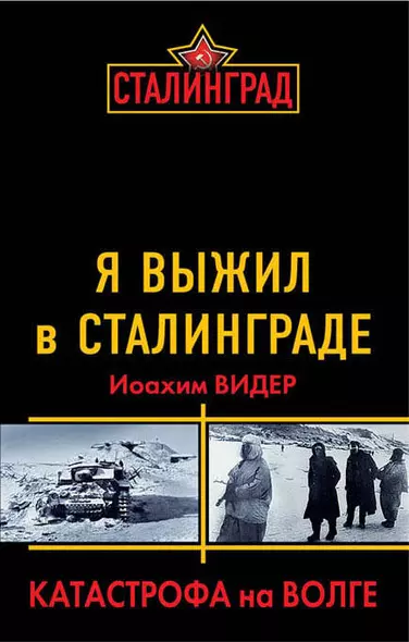 Я выжил в Сталинграде. Катастрофа на Волге - фото 1