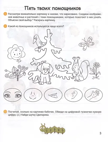 Умней-ка. 4-5 лет. Знакомство с природой - фото 3