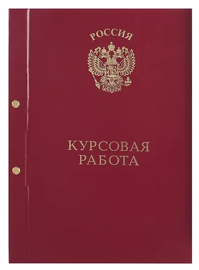 Обложка "Курсовая работа" ассорти, 2 отверстия, бумвинил - фото 2