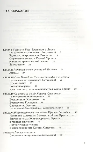 Чтения по литургическому богословию - фото 2