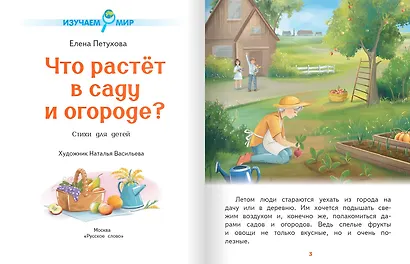 Что растёт в саду и огороде?: стихи для детей - фото 2
