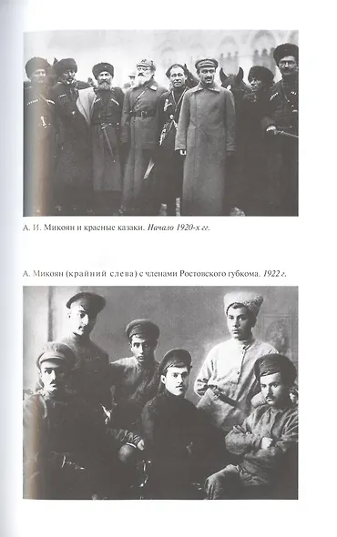 Микоян. От Ленина до Кеннеди. История кремлёвского лидера - фото 5