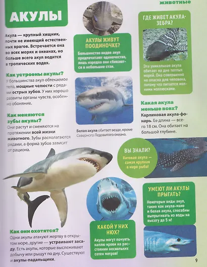 Энциклопедия обо всем. 850 вопросов и ответов - фото 3